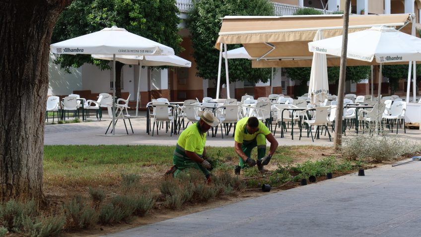 Parques y Jardines comienza la puesta a punto de las zonas verdes para la Feria de Consolación
